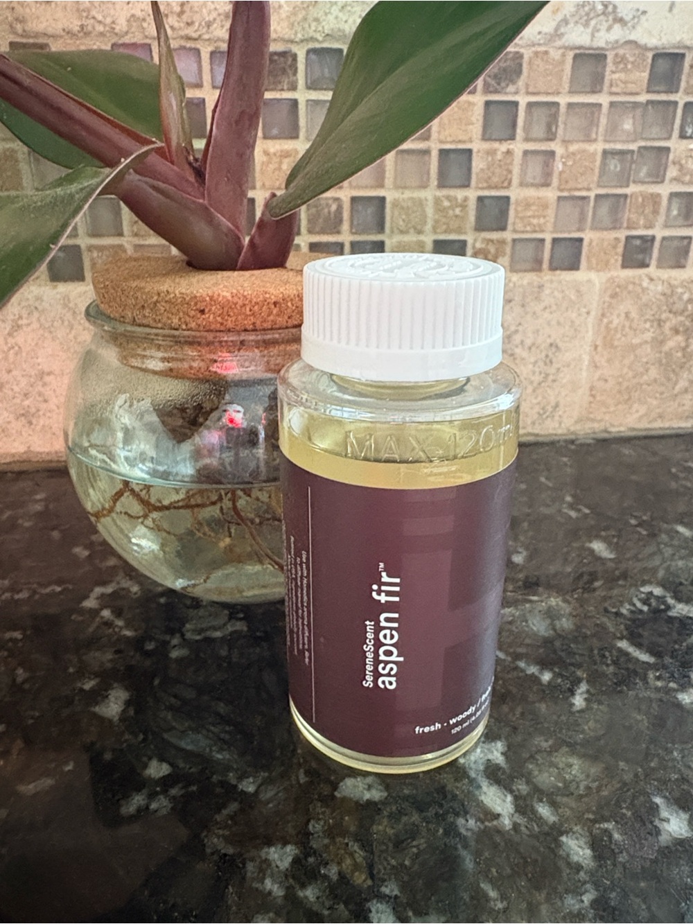 Homedics SereneScent Waterless Home Fragrance in Aspen Fir